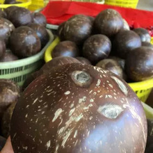 海南椰皇新鲜老椰子椰子鸡椰果椰肉榨汁煲汤