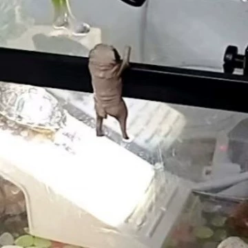 Скульптура лошади из стекловолокна для украшения парка, леса, игровой площадки, модель скачущей лошади, декор для автомобиля