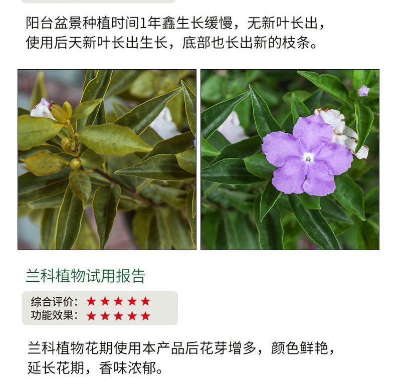 66daead2-9a3b-4e3f-8dcc-9c707537e17e.jpe