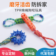 �羳���������K�Y��ҧ���X�A�hTPRĥ����ë���Ӱκӌ�����Ʒ