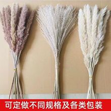 ins���W�Lԭɫ��ȔС�JȔ��Ȕ�ɻ����l�滨�[�O�Ĕz���߿͏d��E18