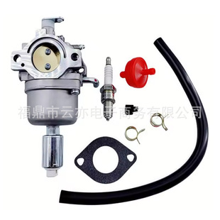 Carburatore per Briggs & Stratton 591731 593514 594593 697141 697190 698445 699109 69993 790418 motore sostuire per B & S 795366  1420