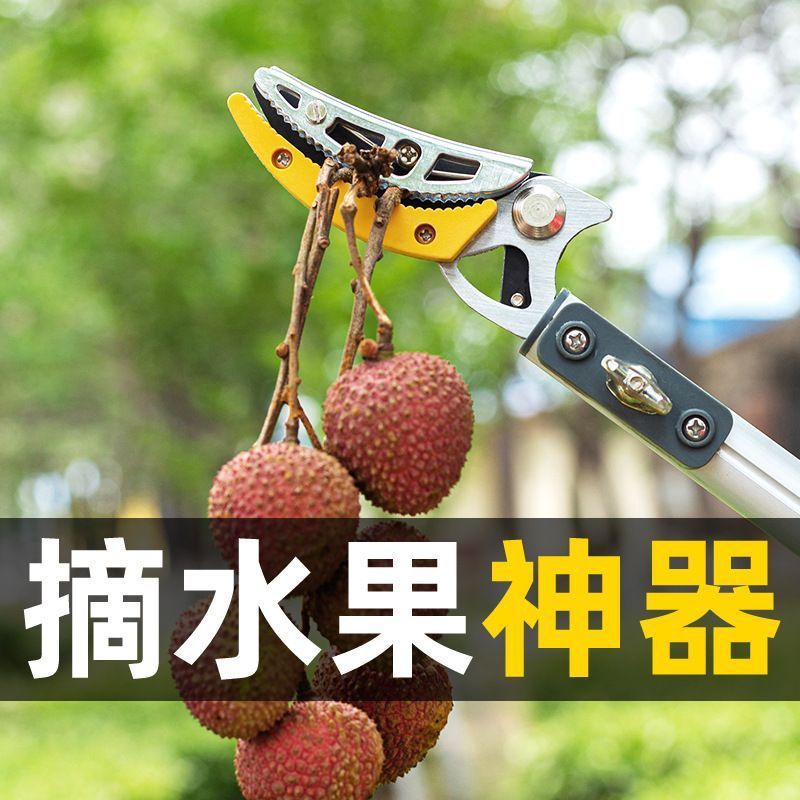 新しい果物を高所で摘み取る、高枝伸縮式剪定ばさみ、ヤマモモ、リュウガン摘果機、びわ、ライチ摘果機|undefined