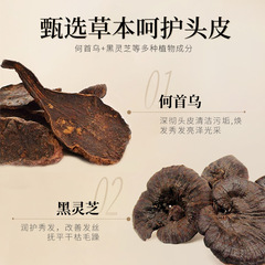 DuMei Doctor Black Reishi and He Shou Wu Root Cleansing Oil-Free Repairing Shampoo for Darkening and Lengthening Hair