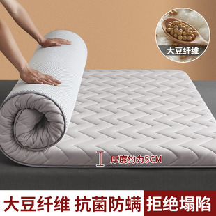 Velvet Soft Mattress Double Home Thickeneded Mattress College Dormitory Single Bed Foldable Non-Collapse Mattress