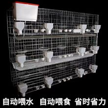 �������ش����ֳ����12λ�Ÿ뷱ֳ��������������Ժ���ʡ