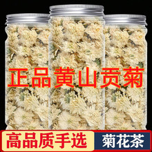 黄山贡菊正宗瓶装菊花茶正品特级白菊泡水喝的干菊花正品白菊花茶