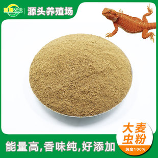 �����x������x���،m�ת{�����}�ۄ��������ԭ���������x���׷�