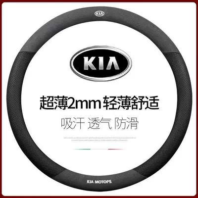 Steering wheel cover | Logo Electric Car Handlebar Cover