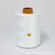 ÷  ȸĥ הL Zʳͨÿp