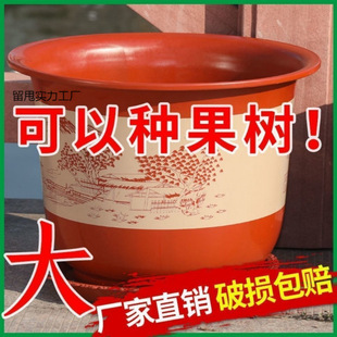 Extra Large Flower Pot Wholesale Price Balcony Thickened New Flower Pot Fruit Tree Pot Peony Simple Plastic Pot Anti-Ceramic Pot
