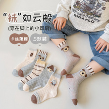 2026������ͯ�m��a�ͨС�����m��ͯ͸���p���W��a��nϵͯ�m��