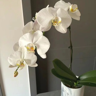 �����m�r�л����������l����ֱ����c���û���[���û�