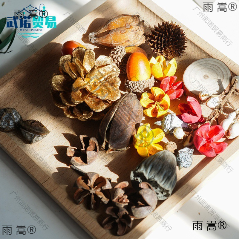 松果干花头小莲蓬干果组合DIY材料幼儿园手工微景观装饰拍照道具
