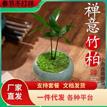 һ�����l������ԶU��Gֲ΢���辰�쾰�[���҃������k�������ֲ