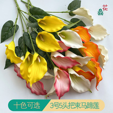 ¿EVA3̖5^Rɏ滨 Ҿӿ͏d廨bٻ Q