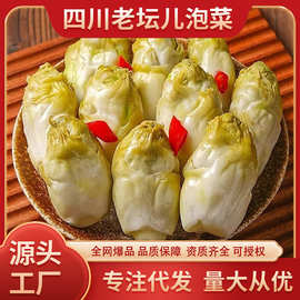 四川新鲜脆嫩特产泡菜泡儿菜酸辣儿菜腌制开胃下饭菜包邮