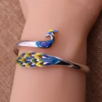 Дружеский финикс, красочный браслет, павлин