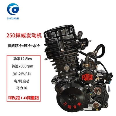 Motorcycle Engine [Hanwei 200 Water Cooled] Tricycle Engine (Motorcycle engine and accessories)