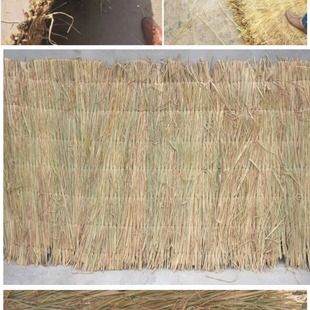 ��Ѵ�ݴ����݉|�ӵ��ݲݰ���ѩ·��Y�������݉|���o�¾����ݴ���