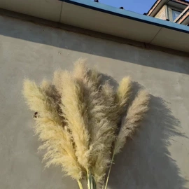 干花;鲜花花艺制品;永生花