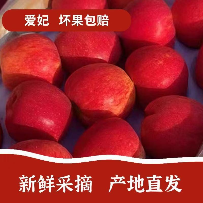 醉西子赤霞香妃苹果新品陕西苹果口感脆甜正宗新鲜当季礼盒装