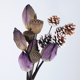 �ɻ�ɏ��ɏźɏ���ɻ��ɹ���Ȼ�滨���ϻ����b����仨������l