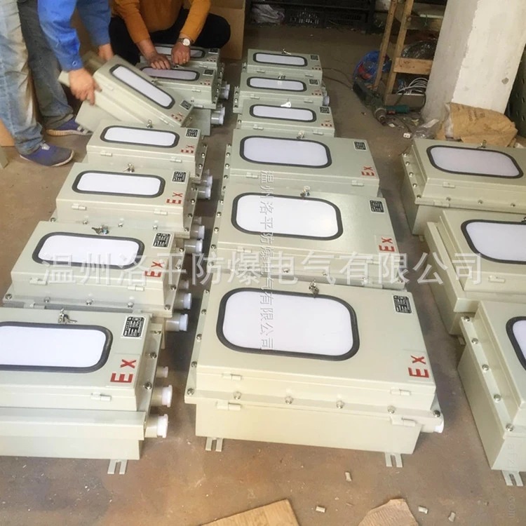 IP65户外型防爆防雨配电箱 隔爆型防爆配电箱 三防照明动力箱