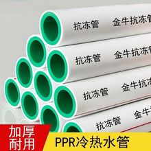 批发金牛抗冻PPR管冷热水管自来水管4分20管6分25管热熔管