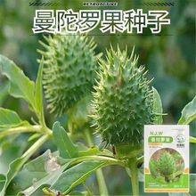 �����ܛ�������_���N��ë�������_�N��һ�����ݱ���@���ݷN��