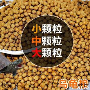 Turtle Feed, Crocodile Turtle Feed, Stone Money Turtle Feed, Turtle Food, Brazilian Turtle Feed, Small Turtle Feed, Turtle Food Universal