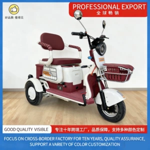 X3 Factory Electric Tricycle for Elderly, Child Pickup, Three-Seater