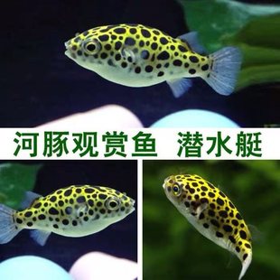 �����~�羳С�ɿ����Ꭷ�~�^�p�~���ﵭˮ�~���ݺ����~�S��ֱ�N