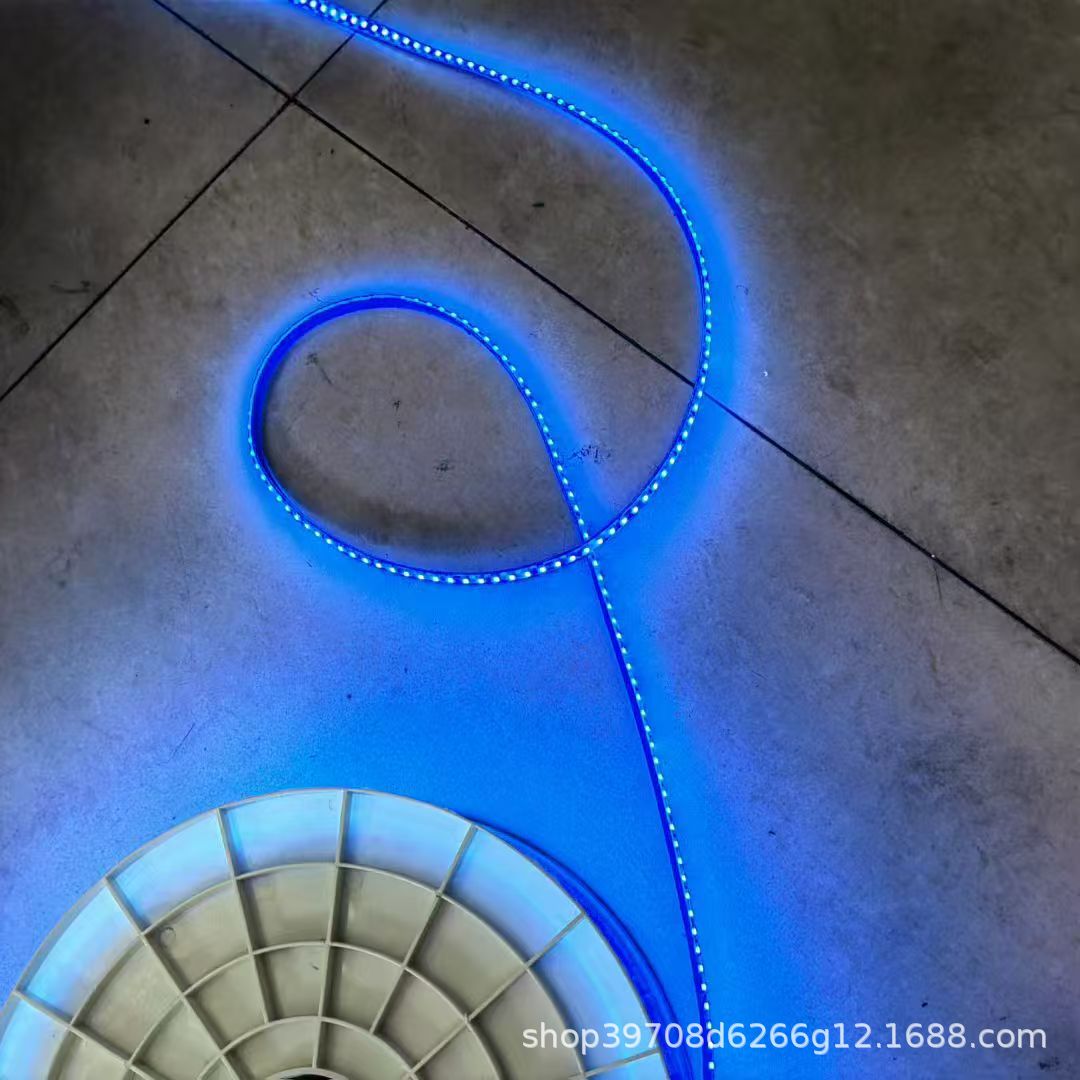 12V / 24V LED de bajo voltaje sólido silicona lámpara IP68 impermeable piscina submarina al aire libre 220V sin conducción image 12
