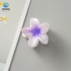 Белый с фиолетовым центром (6 см, средний)
