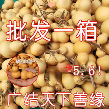 ���J�؃r����������С���J��Ʒ���lС���ְѼ���Ȼ���J�������