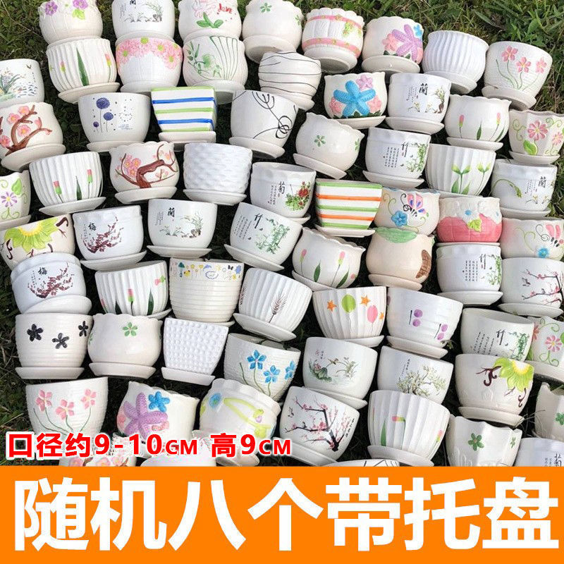 트레이 10cm 포함 랜덤 8개