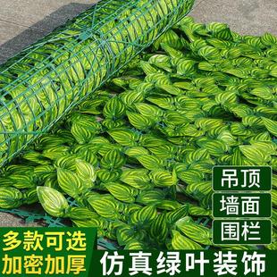 ����h���~�� �ř�����h�ʾW ����ֲ��G�~�b����o�ڿ羳���l