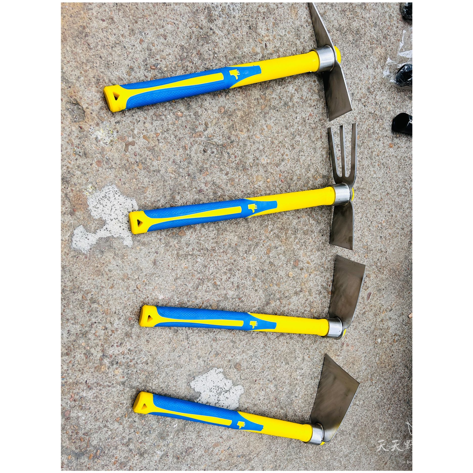 微信圖片_20231010115035