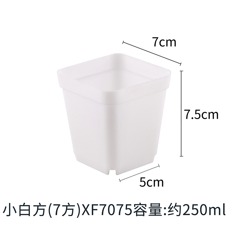 〖White 7cm〗Small square basin XF7075