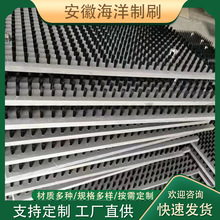 厂家直供密封防尘排刷PVC板刷塑料板刷 数控冲床毛刷板尼龙板刷