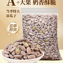 ������2025��؛���w������ζ�Ϻt�ӈԹ���؛����ʳ��؛���l��Ş��