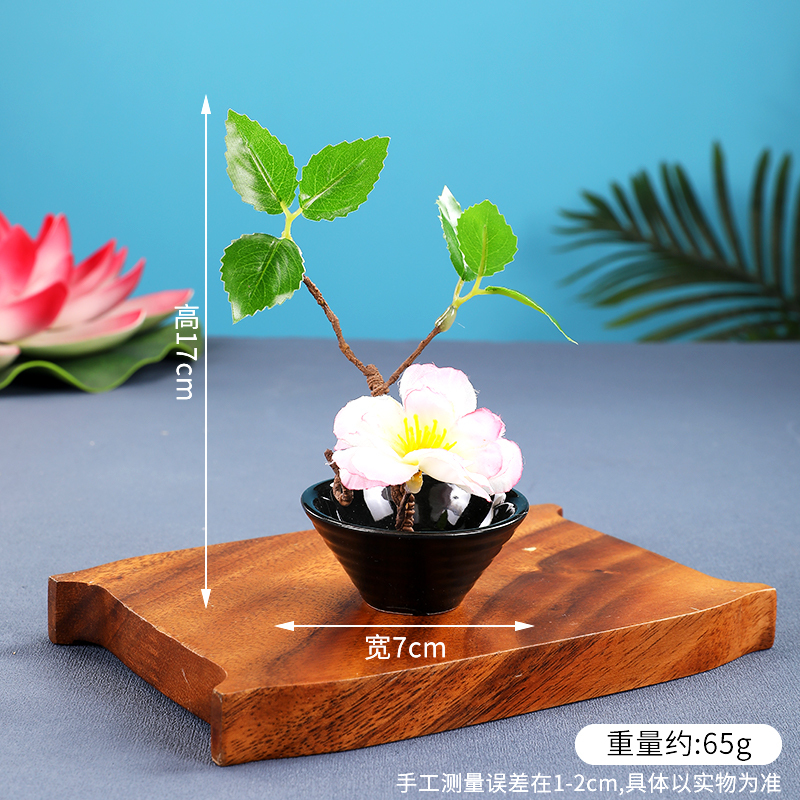酒店菜品摆盘装饰点缀冷菜装饰花草摆盘刺身绿毛球三文鱼摆件围边|undefined