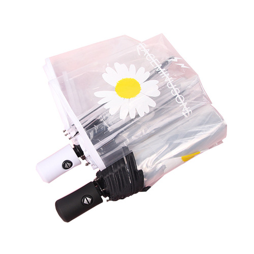 Daisy automatic umbrella white transparent umbrella ins Japanese student folding umbrella transparent umbrella wholesale
