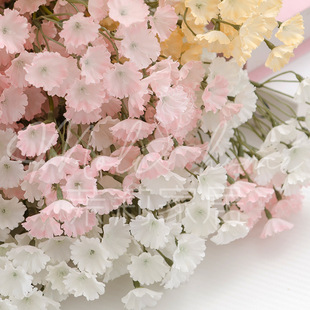 �����һ�c�����b��üҾӿ͏d�ٻ��Ĕz�������컨�������b�