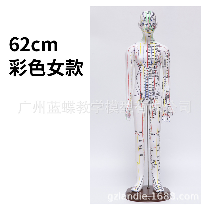 �������ģ���˾���Ѩλ��ҽȫ��ʮ��ͭ��ģ��ͼ��������ϰСƤ��