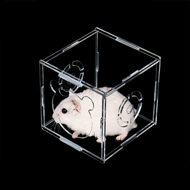 Оптовая Продажа с фабрики хомяк Золотой медведь акриловое прозрачное гнездо комбинация изоляционная игрушка спальное гнездо хомяк Кристалл Побег