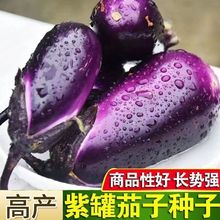 �ļ��Ϲ����� �ش�������ţ��������ɫ�ڹ��Ѳ��N�̨�߲˷N��