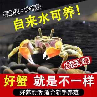 ��������з���w�^�pз���x�坍���嵭ˮз�~����������з�����з