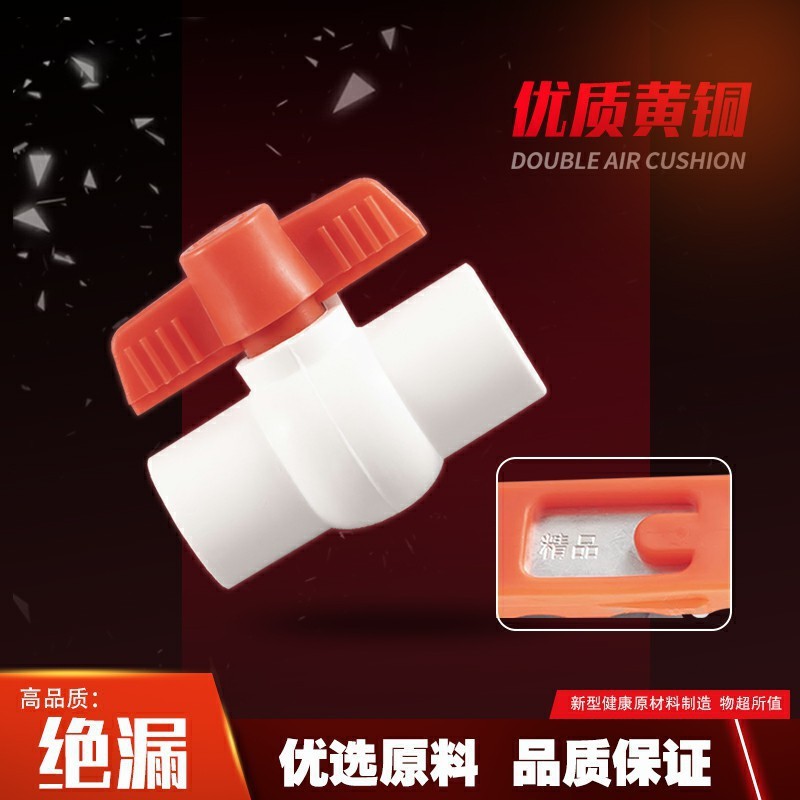 Venta al por mayor PEppr válvula de bola de doble junta de acero de plástico completo núcleo de doble cabeza válvula de núcleo de plástico 202532 accesorios de fusión en caliente de tubería de agua image 3